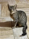 Kiki