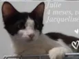 Julie