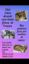 Mariana 
