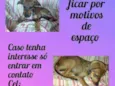 Mariana 
