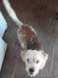 Spike