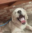 Spike