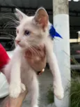 Billy