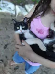 Tom 