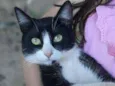 Tom 