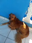 Spike