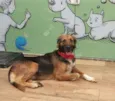 RUBI