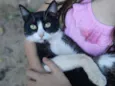 Tom