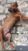 Bartholomeu