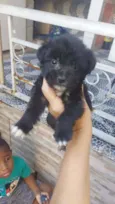 Lili