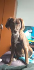 Frida
