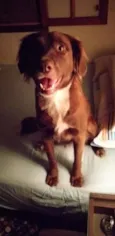 Frida