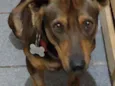 Romeu