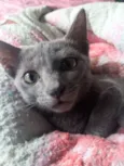luna