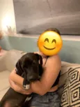 Perninha
