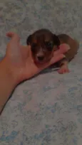 Peter