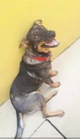 ZURI