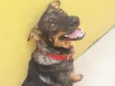 ZURI