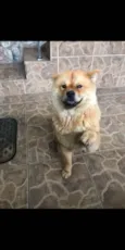 Nina