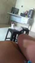 Belinha