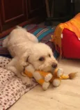 Mel