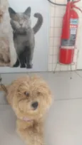 Bob