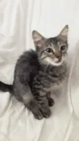 Charlie