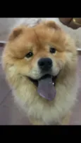 Enok