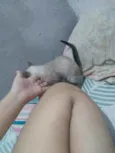 princesa