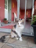 Mel