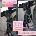 Estopa