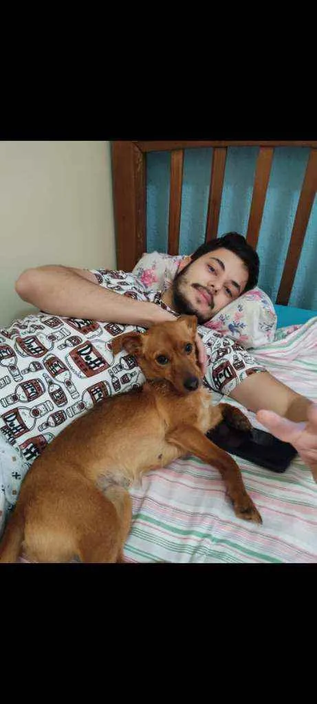 Cachorro ra a Sem raça idade 2 anos nome Alexia