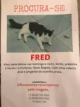 Fred