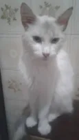 Felicity