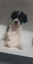 Ainda não tem