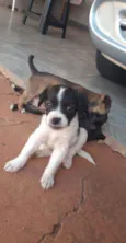 Ainda não tem