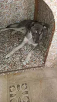 Tyson