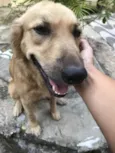 Bob