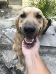 Bob