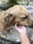 Bob