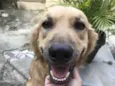 Bob