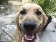 Bob