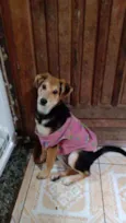 Kira