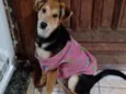 Kira
