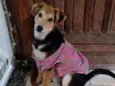 Kira