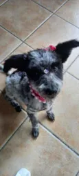 Nina