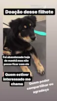 Não sei 