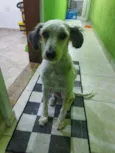 ME ESCOLHE!