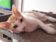 Julieta