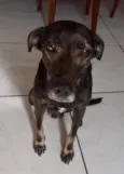 Não sei